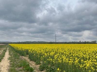 OPG Škrnički i Timac Agro u Breziku