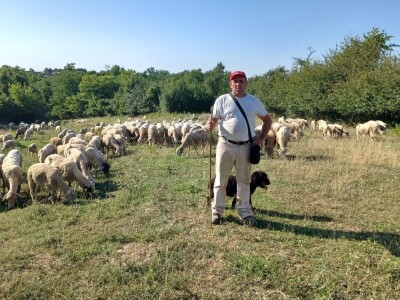 OPG Slavko Vukomanović