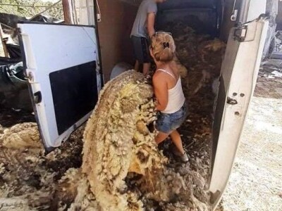 OPG Slavko Vukomanović