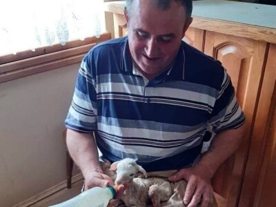 OPG Slavko Vukomanović