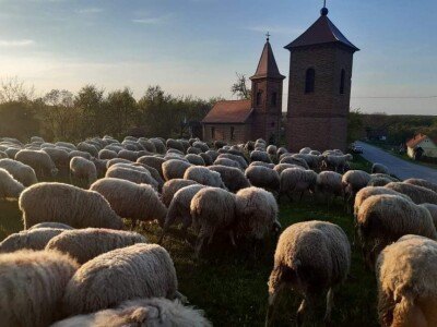 OPG Slavko Vukomanović