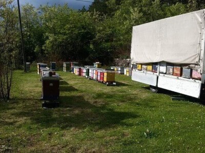 OPG Šperac: Proizvodi od meda i kozmetika za lijep izgled