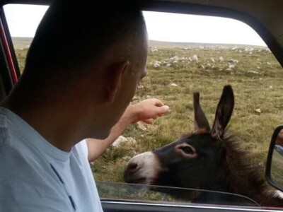 OPG Šperac: Proizvodi od meda i kozmetika za lijep izgled