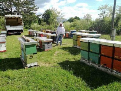 OPG Šperac: Proizvodi od meda i kozmetika za lijep izgled