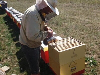 OPG Šperac: Proizvodi od meda i kozmetika za lijep izgled