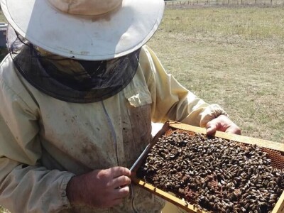 OPG Šperac: Proizvodi od meda i kozmetika za lijep izgled