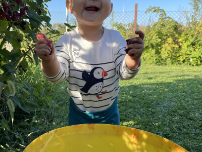 OPG Špoljar Čalinec