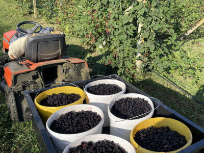 OPG Špoljar Čalinec