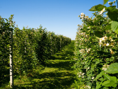 OPG Špoljar Čalinec