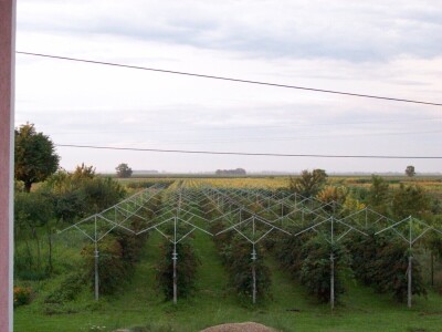 OPG Špoljar Čalinec