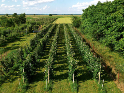 OPG Špoljar Čalinec