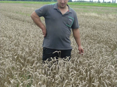 OPG Starčević