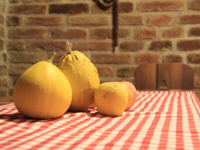 OPG Starčević Robert