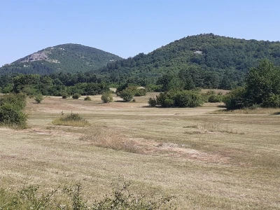 OPG Stipe Pavičića
