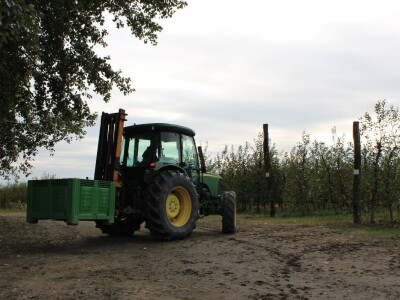 OPG Stjepan Dumančić