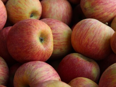 OPG Stjepan Dumančić