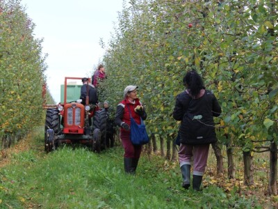 OPG Stjepan Dumančić