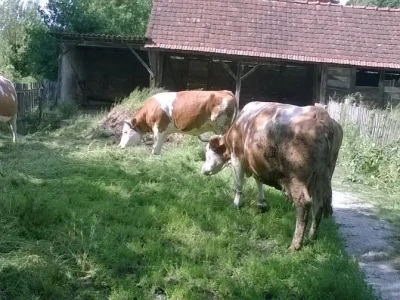 OPG Stjepan Žunac