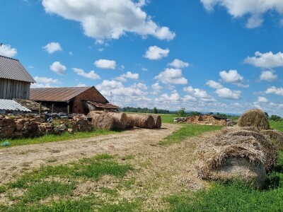 OPG Stojan Trifunović