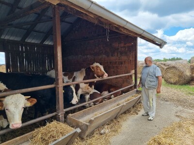 OPG Stojan Trifunović