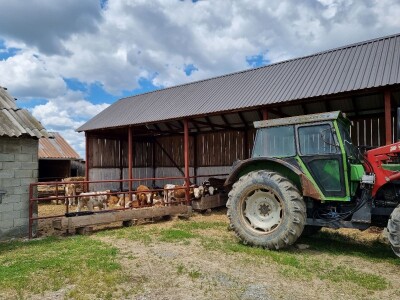 OPG Stojan Trifunović