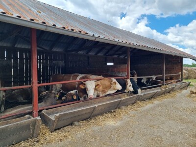 OPG Stojan Trifunović