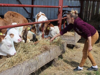 OPG Stojan Trifunović