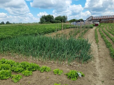 OPG Stojan Trifunović