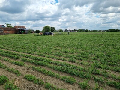 OPG Stojan Trifunović