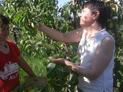 OPG Tarcizio Laganis – Čižo