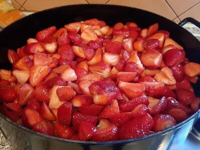 OPG Tarcizio Laganis – Čižo