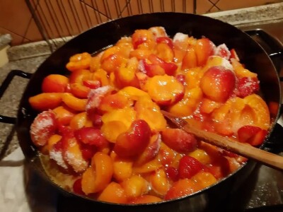 OPG Tarcizio Laganis – Čižo