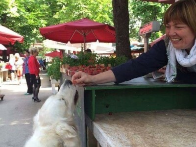 OPG Tarcizio Laganis – Čižo