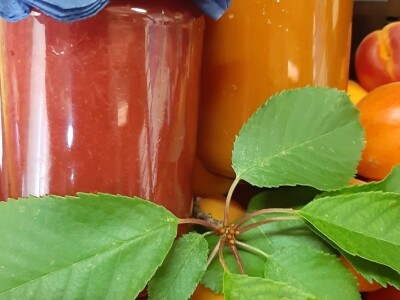 OPG Tarcizio Laganis – Čižo