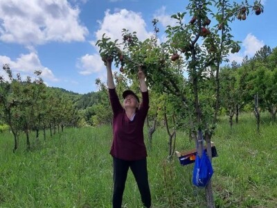 OPG Tarcizio Laganis – Čižo