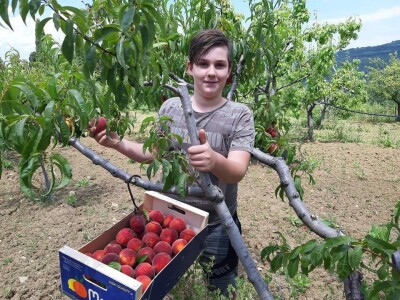 OPG Tarcizio Laganis – Čižo