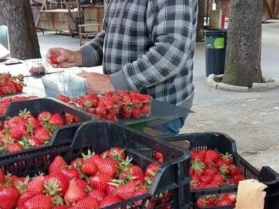 OPG Tarcizio Laganis – Čižo