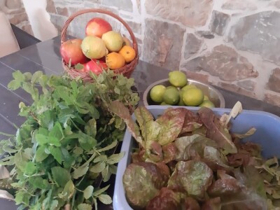 OPG Tarcizio Laganis – Čižo