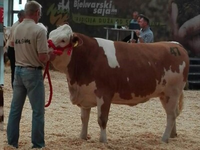 OPG Tihomir Horvat OPG Tihomir Horvat