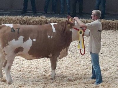 OPG Tihomir Horvat OPG Tihomir Horvat