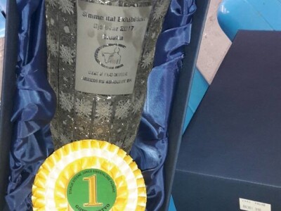 OPG Tihomir Horvat OPG Tihomir Horvat