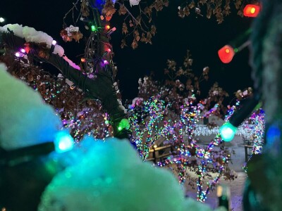 OPG Tihomir Lučić Gornji Dolac