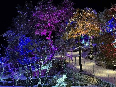 OPG Tihomir Lučić Gornji Dolac