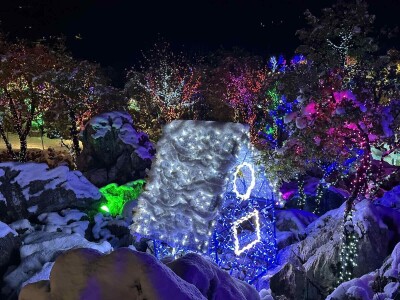 OPG Tihomir Lučić Gornji Dolac