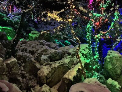 OPG Tihomir Lučić Gornji Dolac