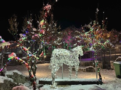 OPG Tihomir Lučić Gornji Dolac