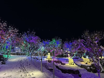 OPG Tihomir Lučić Gornji Dolac