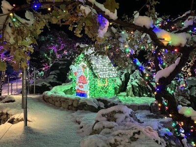 OPG Tihomir Lučić Gornji Dolac