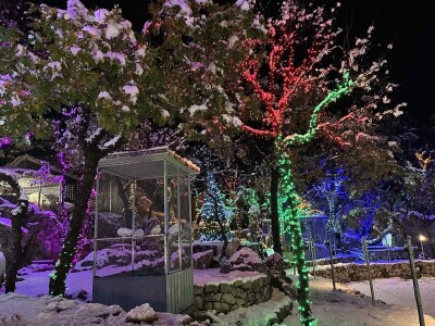 OPG Tihomir Lučić Gornji Dolac