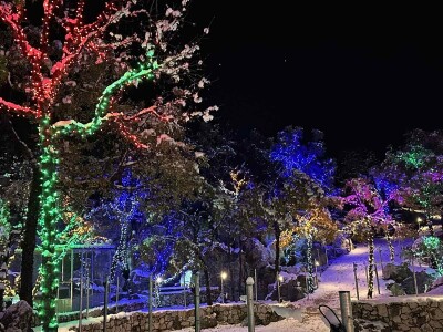 OPG Tihomir Lučić Gornji Dolac